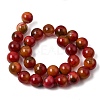 Natural Multi-Color Agate Beads Strands G-A261-B03-14mm-7