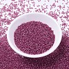 MIYUKI Delica Beads SEED-X0054-DB1341-2