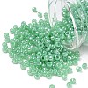 TOHO 6/0 Round Beads X-SEED-TR06-0144-1