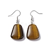 Natural Tiger Eye Trapezoid Dangle Earrings EJEW-D188-02P-04-2