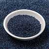 MIYUKI Round Rocailles Beads SEED-X0056-RR0346-2
