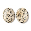 Natural Dalmatian Jasper Worry Stone for Anxiety Therapy G-B036-01J-2