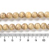 Natural Rainbow Alashan Agate Beads Strands G-NH0022-A06-02-5
