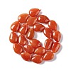 Natural Red Aventurine Beads Strands G-L242-11-3