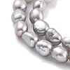 Natural Keshi Pearl Cultured Freshwater Pearl Beads Strands PEAR-P062-25A-4
