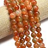 Natural Malaysia Jade Beads Strands G-L645-C01-10mm-29-3