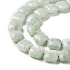 Natural Myanmar Jade Beads Strands G-C238-16A-4