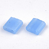 2-Hole Glass Seed Beads SEED-T004-01C-01-2