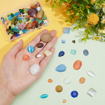 168Pcs 24 Style Cat Eye Cabochons CE-PH0001-05-1