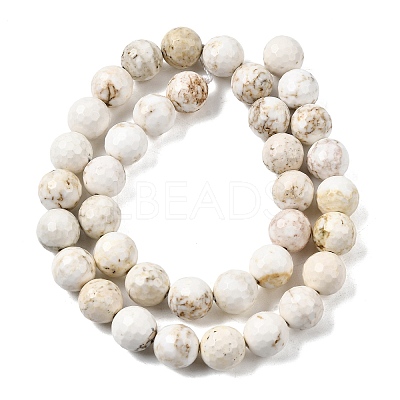 Natural Magnesite Beads Strands G-P598-E-10mm-03-1