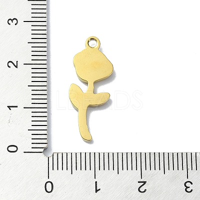 Ion Plating(IP) 304 Stainless Steel Pendants LS-STAS-B058-17G-05-1