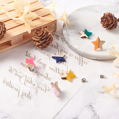 10 Pair 10 Color Transparent Resin & Wood Stud Earring Findings DIY-FW0001-09-1