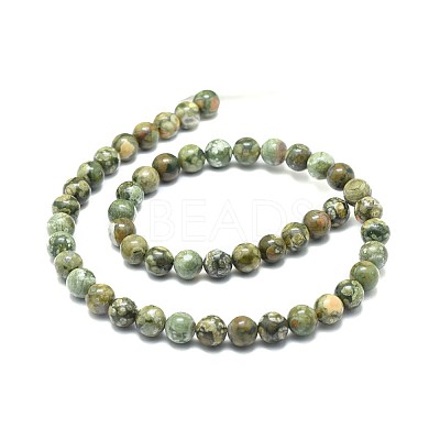 Natural Rhyolite Jasper Beads Strands G-F674-03A-8mm-1