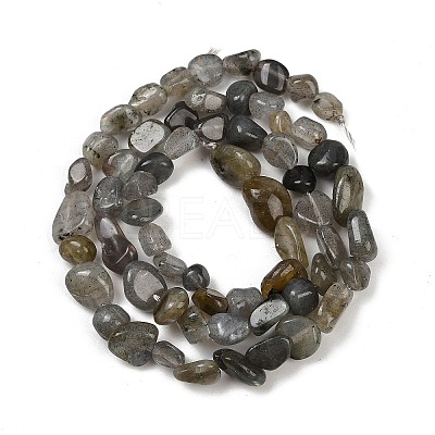 Natural Labradorite Beads Strands G-Q060-D02-1