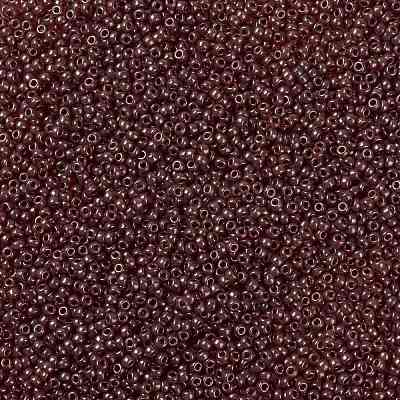 MIYUKI Round Rocailles Beads X-SEED-G008-RR0309-1