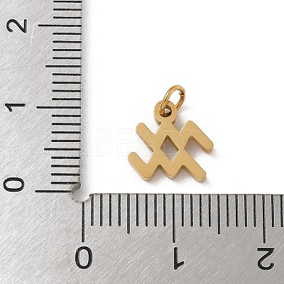 304 Stainless Steel Charms STAS-R001-04G-11-1