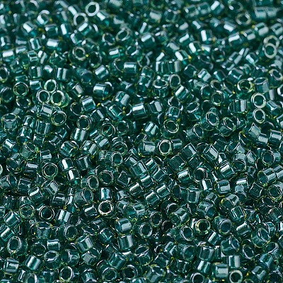 MIYUKI Delica Beads SEED-J020-DB0919-1
