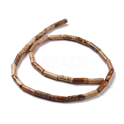 Natural Picture Jasper Beads Strands G-D464-13-1