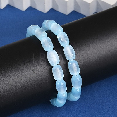 Dyed Natural Selenite Column Beaded Stretch Bracelets for Women BJEW-I312-05B-1