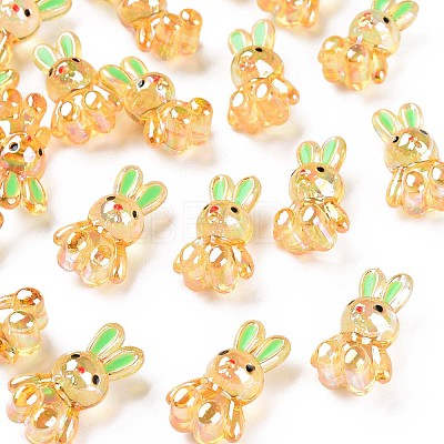 Transparent Acrylic Beads LS-MACR-S373-81-Q01-1