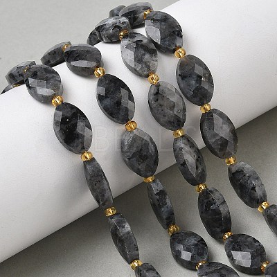 Natural Larvikite Beads Strands G-A295-A03-01-1