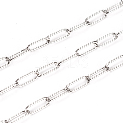 Tarnish Resistant 304 Stainless Steel Paperclip Chains CHS-F010-01E-P-1