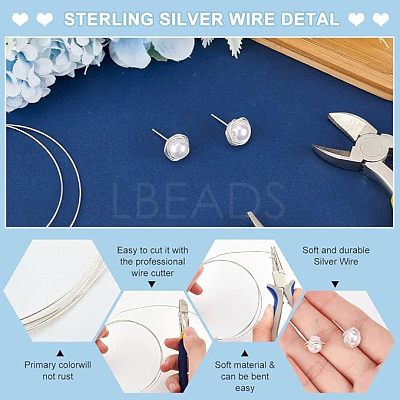 1Pc 999 Fine Silver Wire STER-BC0001-66B-1