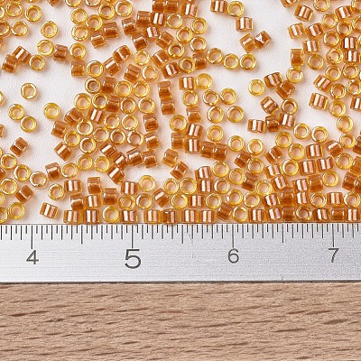 MIYUKI Delica Beads SEED-J020-DB1702-1