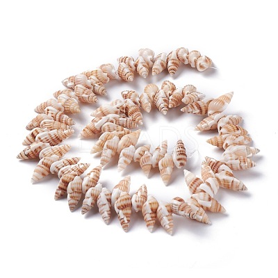 Natural Spiral Shell Beads Strands X-BSHE-I016-08-1