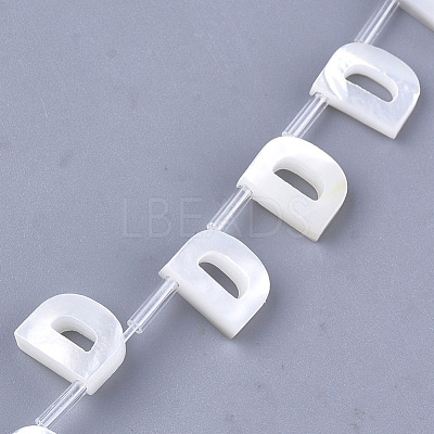 Sea Shell Beads X-SHEL-T012-60D-1