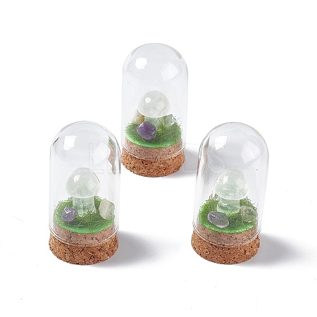 Natural Quartz Crystal Mushroom Display Decoration with Glass Dome Cloche Cover G-E588-03I-1