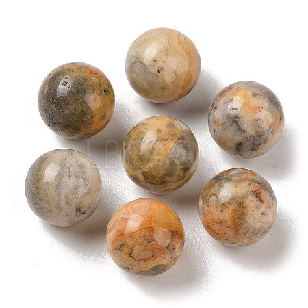 Natural Crazy Agate No Hole Sphere Beads G-K353-04D-34-1