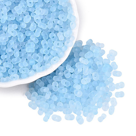 FGB Frosted Transparent Glass Seed Beads SEED-N013-06A-11-1