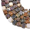 Natural Pietersite Beads Strands G-F832-A10-01-4
