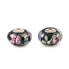 Lampwork & Brass Core European Beads LAMP-P019-01P-09-1