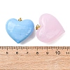 Handmade Lampwork Pendants LAMP-G160-01-3