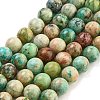 Natural Peruvian Turquoise(Jasper) Beads Strands G-Z062-A01-02-1