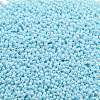 TOHO Round Seed Beads X-SEED-TR11-0124-2