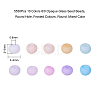 5530Pcs 10 Colors 8/0 Opaque Glass Seed Beads SEED-CJ0001-13-2