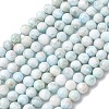Natural Larimar Beads Strands G-B156-A01-6mm-01-2