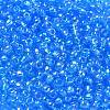 TOHO 6/0 Round Beads X-SEED-TR06-0163B-3