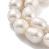 Natural Cultured Freshwater Pearl Beads Strands PEAR-P062-13E-4