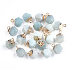 Electroplate Natural Amazonite Charms X-G-S344-08F-1