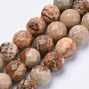 Natural Picture Jasper Beads Strands X-G-S281-01-8mm-1