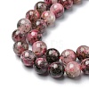 Natural Rhodonite Beads Strands G-C029-04A-4