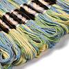 10 Skeins 6-Ply Polyester Embroidery Floss OCOR-K006-A32-2