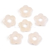 Gradient Color Transparent Acrylic Beads OACR-N137-49P-1