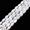Natural Freshwater Shell Beads Strands X-SHEL-N026-212-A01-1