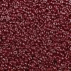 MIYUKI Round Rocailles Beads LS-X-SEED-G009-RR0425-3