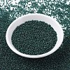 MIYUKI Round Rocailles Beads X-SEED-G007-RR0338-4